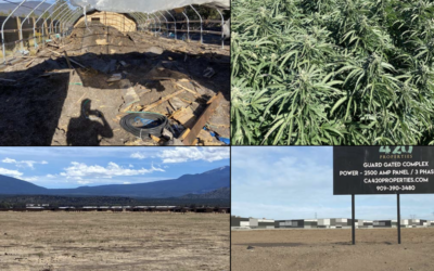 Final Report to DCC – Cannabis Bans, Local Control, the Effects & Efficacy Of Prop 64
